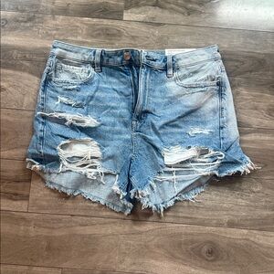 American Eagle Outfitters Light Blue Distressed Jean Shorts